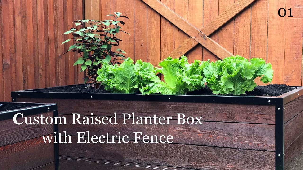 How to Make a Raised Planter Box with Electric Fence DIY / How To