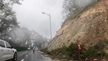 Đèo Prenn thông thoáng và an toàn hơn nhờ việc chặt tỉa cây thông có nguy cơ đổ ngã