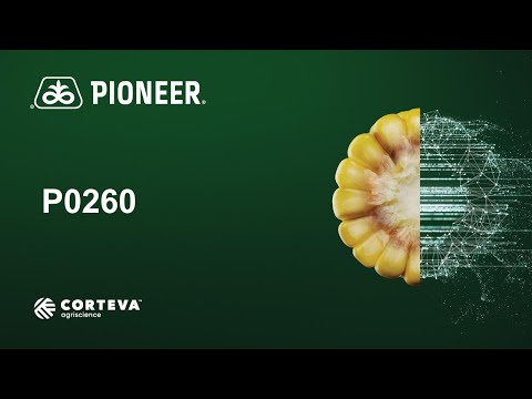 P0260