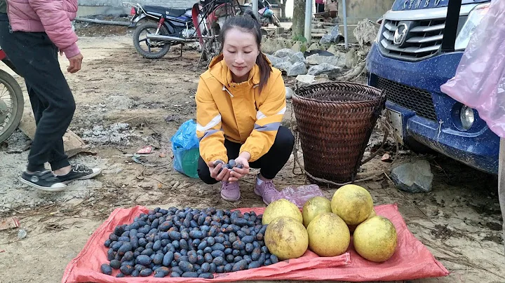 Harvest Palm Fruit & Grapefruit goes to the market...