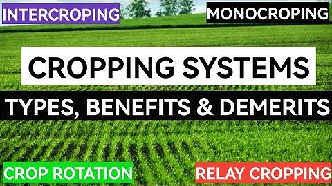 Cropping Systems In Agriculture | Mono-cropping, Inter-cropping, Relay Cropping & Crop Rotation