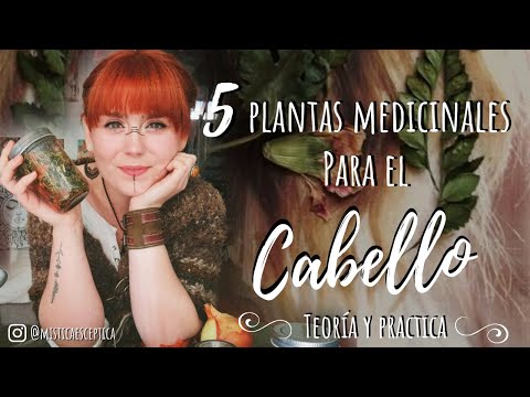 Video: Plantas Para El Cuidado Del Cabello