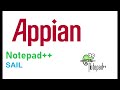 Appian notepad plugin  sail on notepad  low code bug