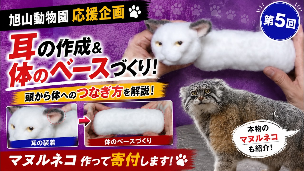 Needle Felting】⑤ Let's make a Pallas's cat! - YouTube
