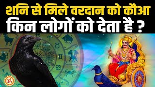 Shani के प्राण बचाने वाला कौआ घर में क्या कुछ लेकर आता है ?
