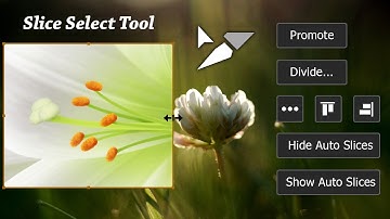 Photoshop Tutorial 07  Slice Select Tool