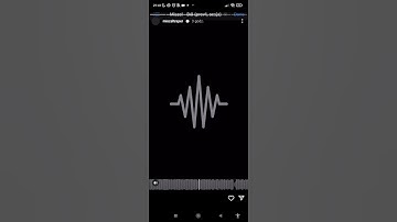 MISZEL - BÓL #snippet #1