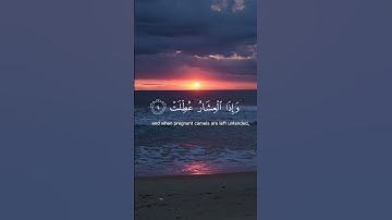 Read and reflect  سورة التكوير  #quranic #quran #islam #allah #quranquotes #quranverses #قران