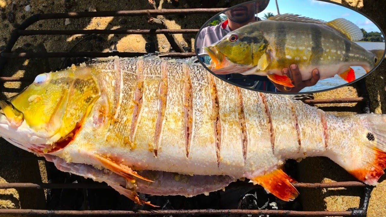 Peacock Bass Fishing -  Catch Clean BBQ - Whole Peaock Bass