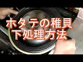 【調理】ホタテ稚貝の下処理方法