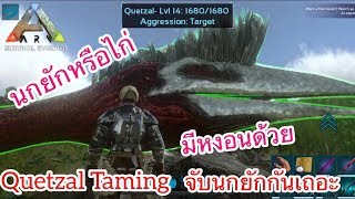 ARK Mobile มือถือ EP36 จับนกยักษ์กันเถอะ [Quetzal Taming]