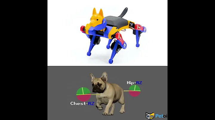 Bittle Robot Dog vs French Bulldog | PetoiCamp #petoi #bittle #robotics #quadruped