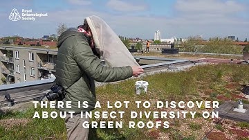 The development of insect diversity and ecosystem complexity on green roofs - Journal Highlights