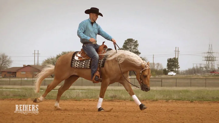 Reiners in Slow Motion | Superlative Equine