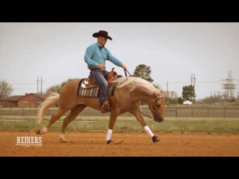 Reiners in Slow Motion | Superlative Equine