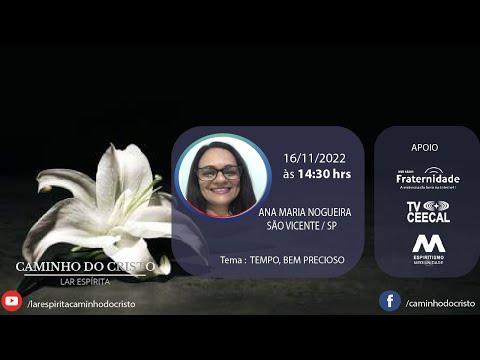 TEMPO, BEM PRECIOSO - Ana Maria Nogueira