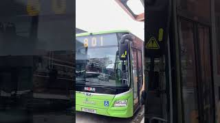 SG1810K 801 (w/@thetampinesbusenthusiast & @36_snaps)