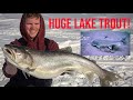 Gambar cover 6 MASSIVE LAKE TROUT!!! - Ice Fishing Clearwater Lake