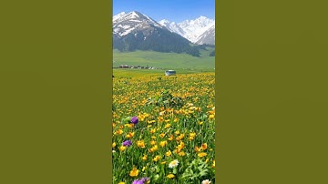 Thumbnail of #cover #lyrics #coversong #gigachadtheme #travel #motivation #mountains #nature #song #music