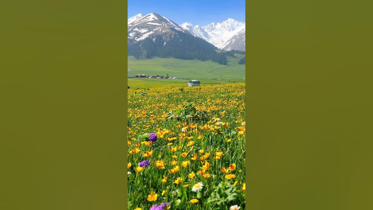 #cover #lyrics #coversong #gigachadtheme #travel #motivation #mountains #nature #song #music