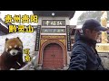 【一游记】贵州贵阳，下雪天前往黔灵山公园，名胜古迹甚多，雪地里的小熊猫太可爱了