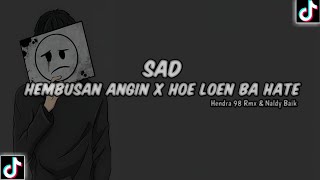 DJ SAD !! HEMBUSAN ANGIN x HOE LOEN BA HATE Feat. Naldy Baik TERBARU VIRAL TIKTOK
