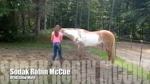 Sodak Robin McCue