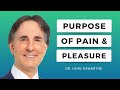 The Purpose of Pain and Pleasure | Dr John Demartini