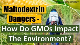 Maltodextrin Dangers - How Do GMOs Impact The Environment