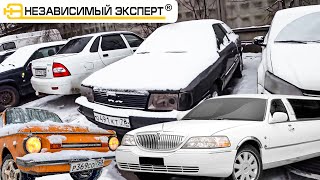 AUDI, ЗАПОР, ЛИМУЗИН, ВЫБИРАЙ СЕБЕ ОДИН!