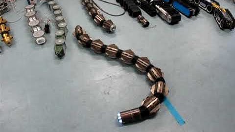 The infamous snake-bot