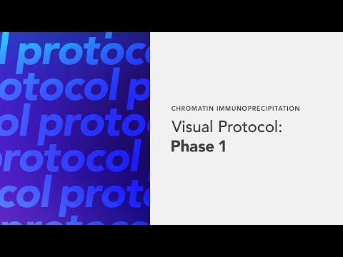 Chromatin Immunoprecipitation Visual Protocol: Phase1