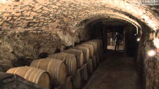 商用Okの動画素材Tuscany Winecellar With Sid