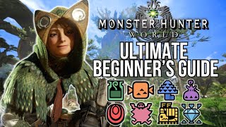 Ultimate Beginner