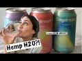 HEMP H20?! Trying Daydream Sparkling Water with Hemp Adaptogens..WORTH THE $$$? || Sammie Wall