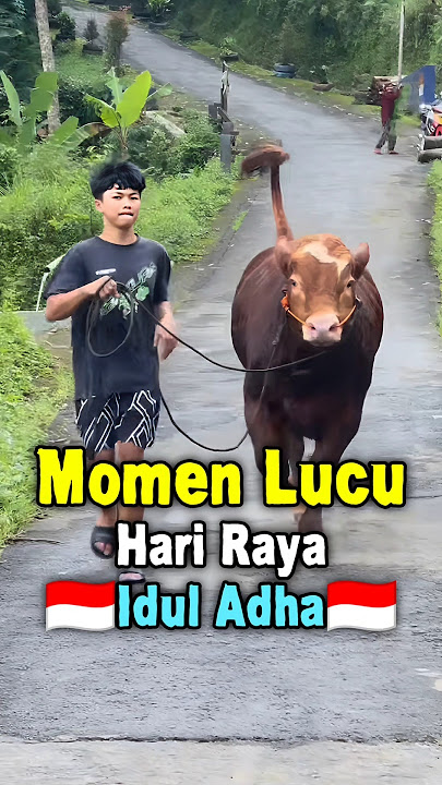 Momen Lucu saat Idul Adha
