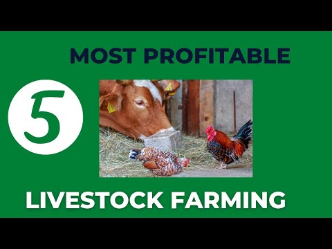 5 Most PROFITABLE LIVESTOCK FARMING in 2022