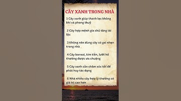 CÂY XANH TRONG NHÀ
