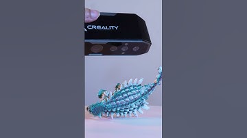 Dinosaur！Scanning with Otter