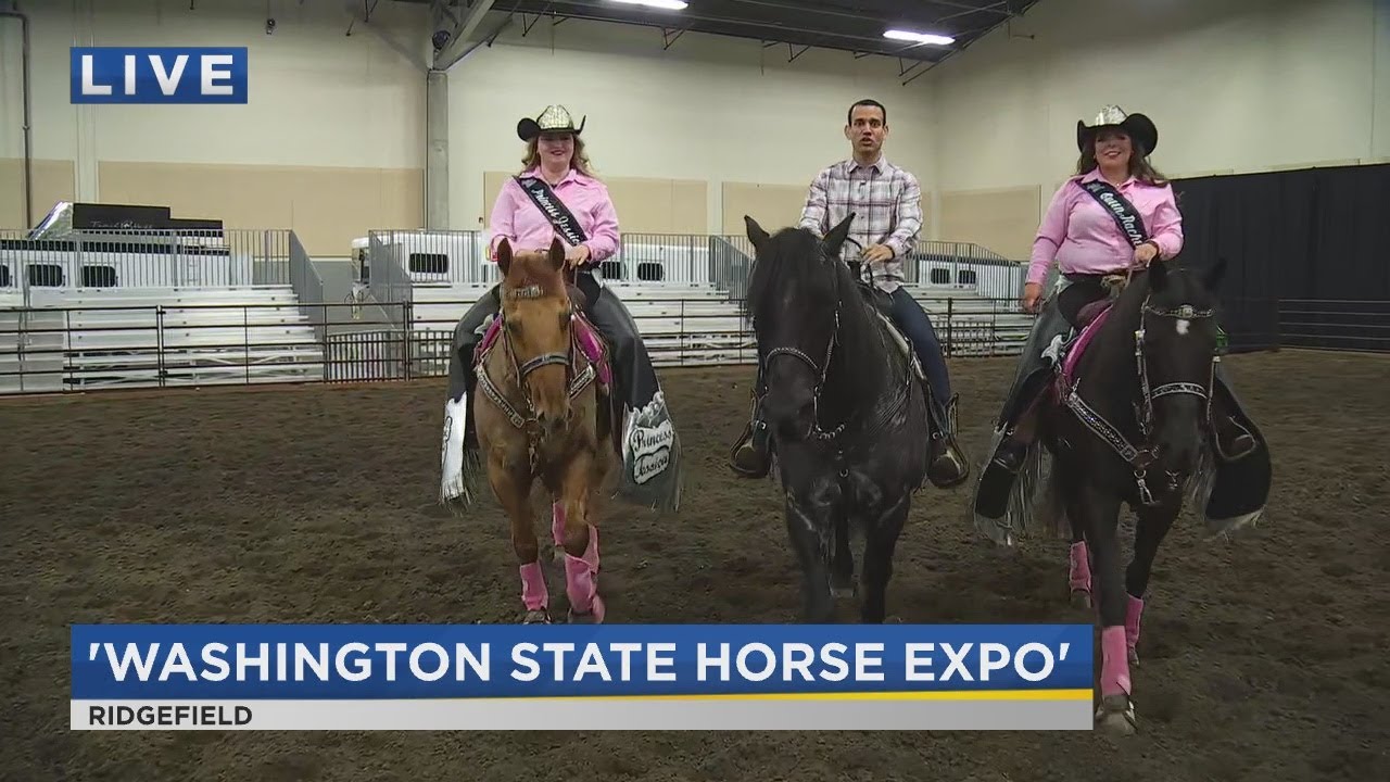 On the Go with Joe at Washington State Horse Expo YouTube