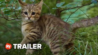 A Cat's Life Trailer #1 (2024)