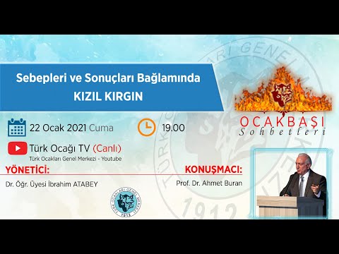 Video: Kremlin'deki Polonyalı yamyamlar veya Boyarlar neden müdahalecilerin birliklerinin başkente girmesine izin veriyor?