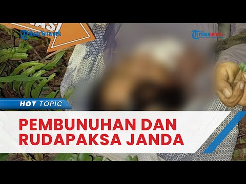 Kronologi Rudapaksa Disertai Pembunuhan Janda di Tebo, Pelaku Sempat Seret Korban Sejauh 60 Meter