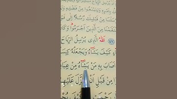 سورة الروم الأية 48 إلى 50 القارئ سعد الغامدي