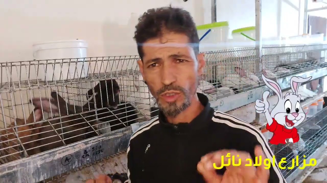 عسل التمر و الحلباء من سلسلة بدائل العلف