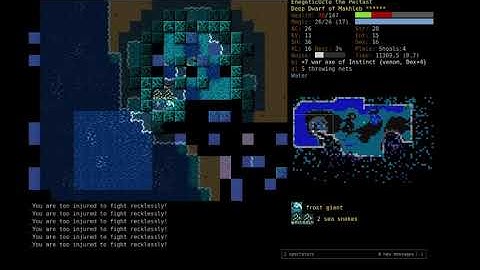 DCSS realtime speedrun former  world record[20:32](DDFi^Mak)