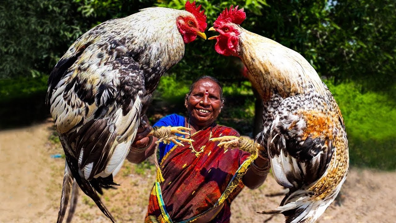 Wow! 80 Years Young Grandma Making Full Country Chicken Curry #Telangana Recipes | STREET FOOD