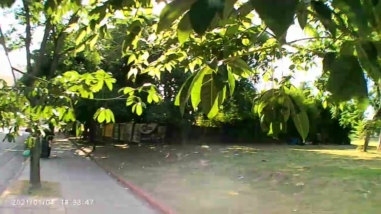 Día 4 Paseando por mí Barrio con mí Bicicleta (parte 6)