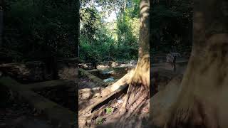 Bikin heboh jagat Maya, ditemukan tempat bertapa orang sakti mandraguna di lereng gunung Jawa timur