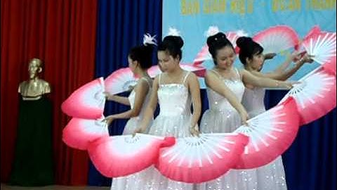 Giấc mơ cánh cò [12B1 - THPT Võ Minh Đức 2011 - 2012]